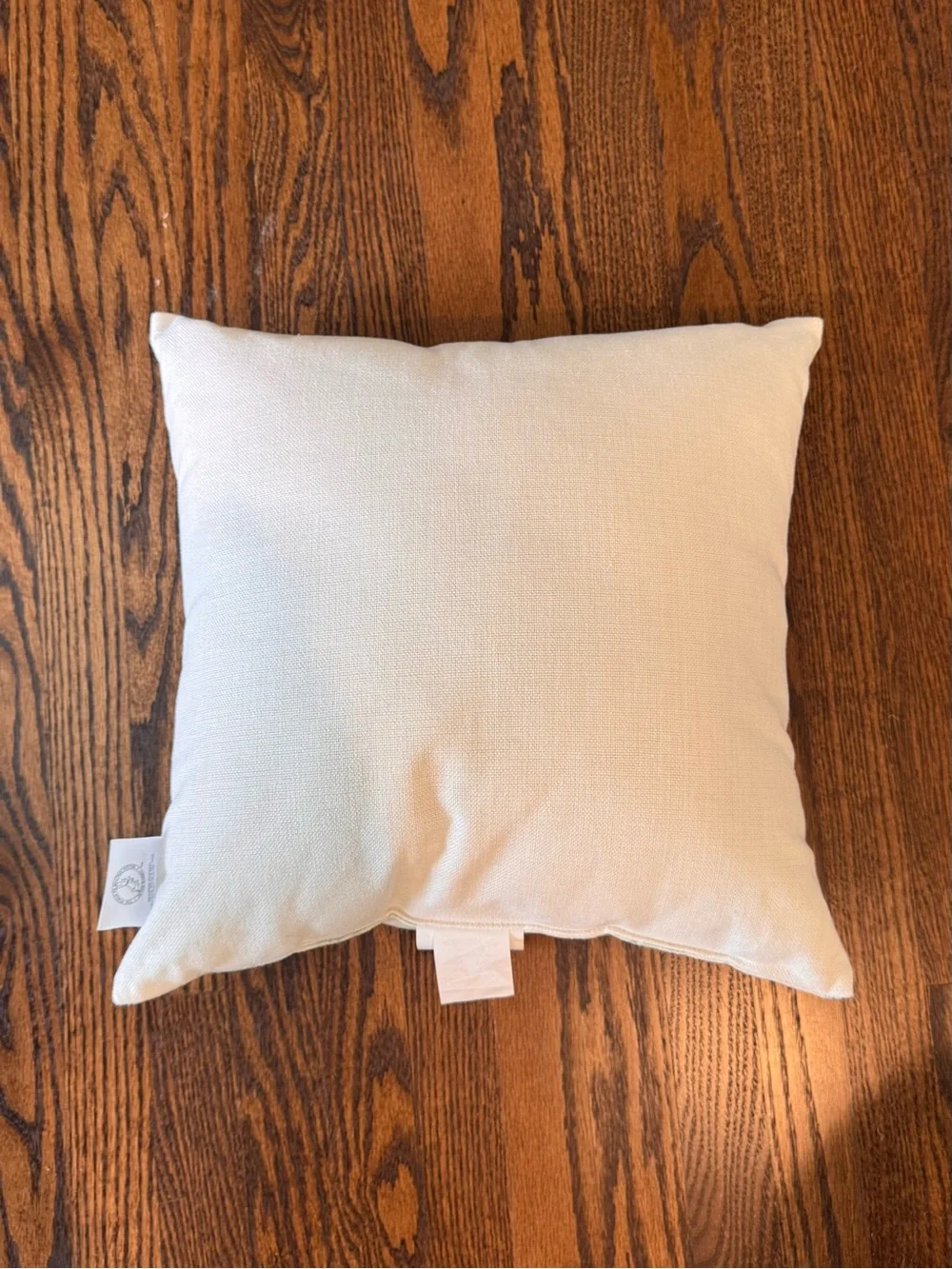 Little Bunny Decorative Accent Pillow - Blue and Cream